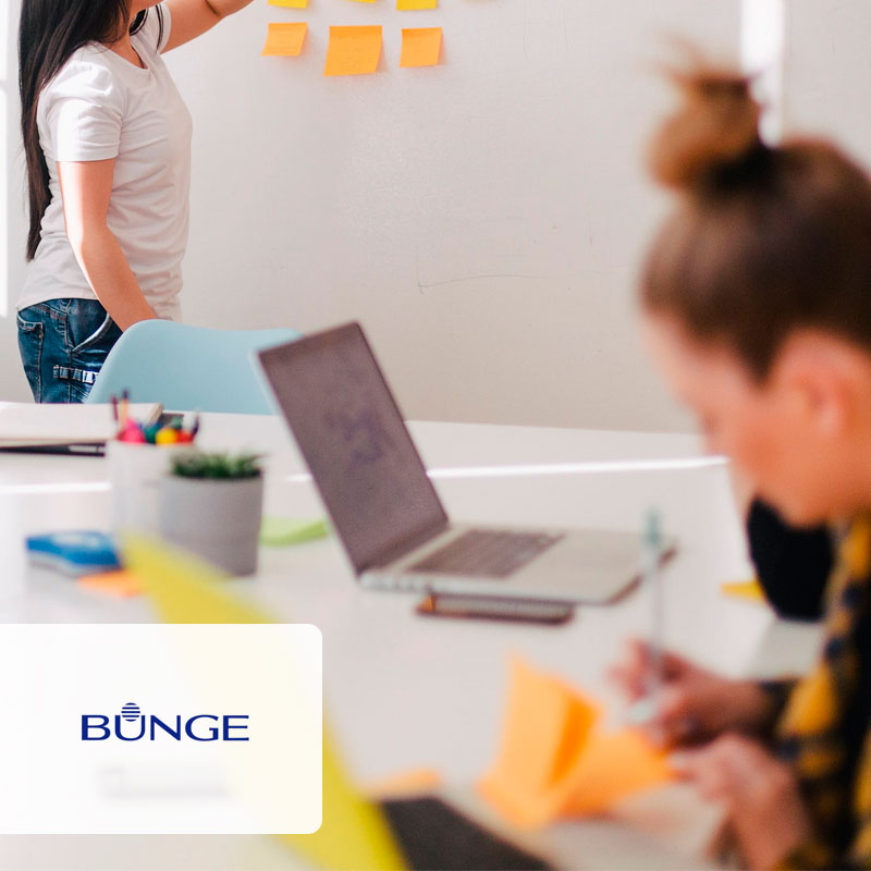 ACONTECER na BUNGE – Pesquisa para entender o contexto e Workshop para apoiar caminhos futuros